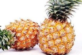 娱乐吃瓜小菠萝视频大全,盘点热门视频大全