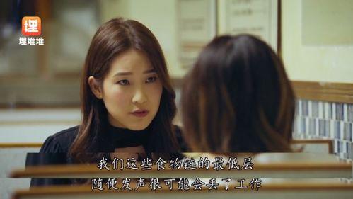 吃瓜娱乐圈小说 第3张 吃瓜娱乐圈小说 第3张